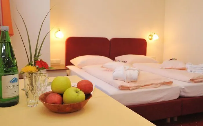 酒店 Austria 斯拉德明